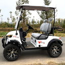 Golf Cart 2 Seaters-1