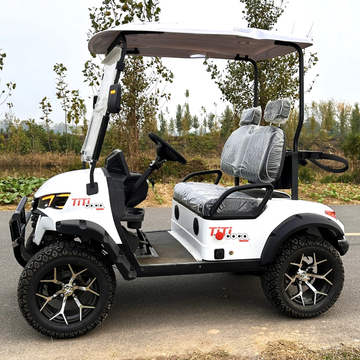 Golf Cart 2 Seaters