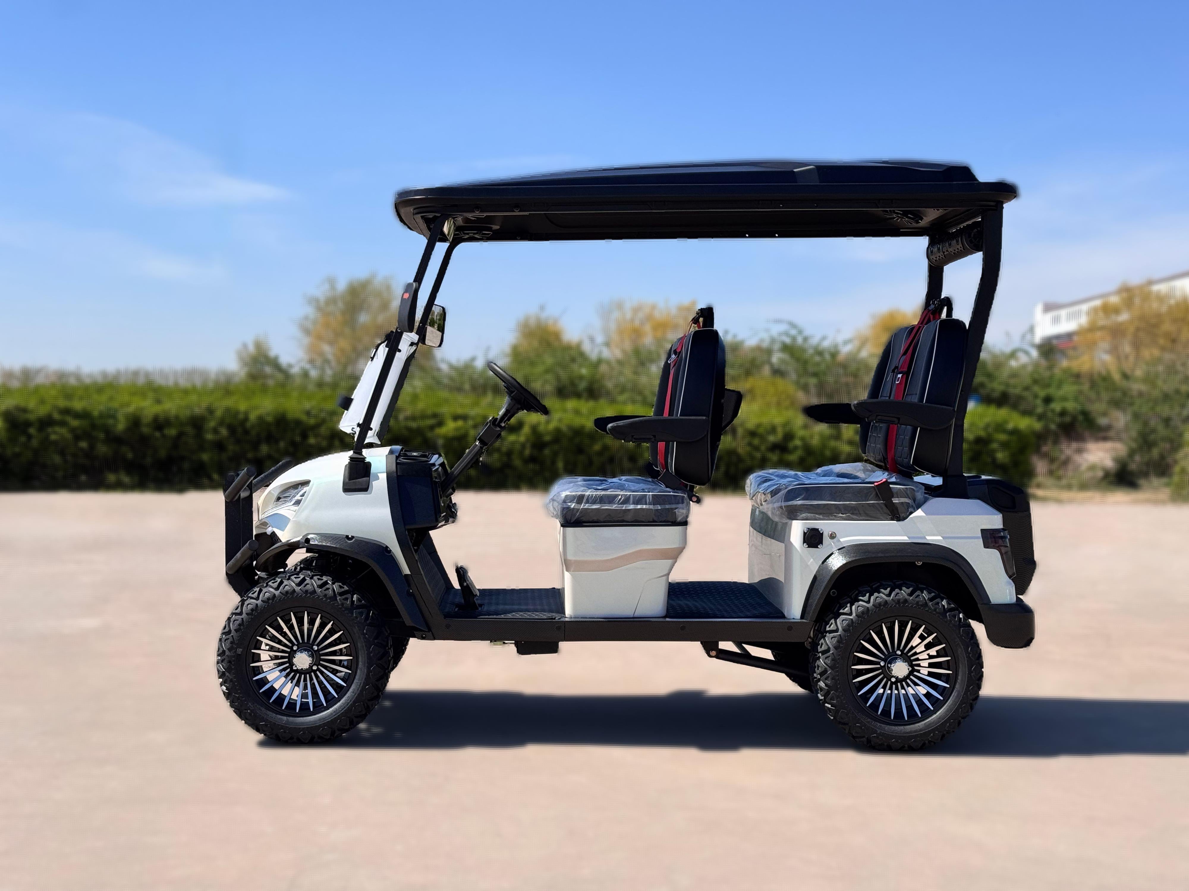 Luxury e-Cart - 0