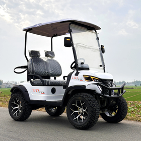 Golf Cart 2 Seaters - 0