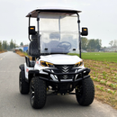 Golf Cart 2 Seaters-3